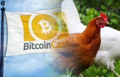 Coinbase联合创始人：我在用BCH养鸡