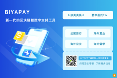  BIYAPAY——跨境汇款不二之选